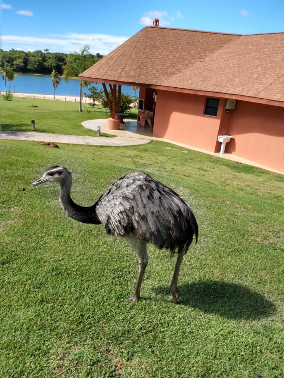 Malai Manso Cotista - Resort Acomodacoes 4 Hosp (Adults Only) Retiro  Luaran gambar